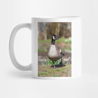 Canada Goose Mug